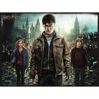 Rompecabezas Lenticular 3D Harry Hermione de 300 Pzas - Harry Potter