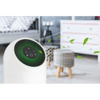 Purificador de Aire con Temporizador - Rosthal
