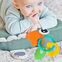Aro-Mordedor-Charms-Animales-De-Colores---Bright-Starts