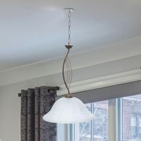 Lampara-Colgante-1-Luz-60W---Z