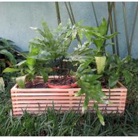 Maceta-Fixer-Madera-Cafe-66X19-Cm