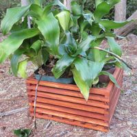 Maceta-Colgante-De-Madera-Cafe-30.5X16-Cm---Fixer