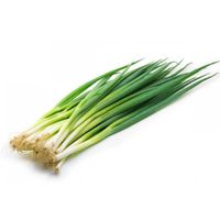 Semilla-De-Cebollin---Germoveg-S