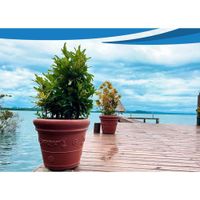Maceta Standard Extra Grande 60 x 53 Cm