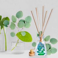 Difusor-Petite-Aroma-Menta-Eucalipto---Sinovelas