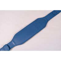 Cinturón para Fitness Azul -  Varias Tallas