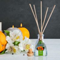 Difusor-Petite-Aroma-Wild-Citrus---Sinovelas