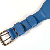 Cinturón para Fitness Azul -  Varias Tallas