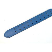 Cinturón para Fitness Azul -  Varias Tallas