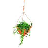 Maceta Colgante Plástica 26.5X14.5 Cm - Spartaplast Varios Colores