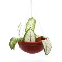 Maceta Colgante Mediana 30 Cm - Rototec