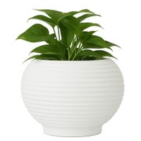 Maceta-Bromelia-Blanca--42-x-48-Cm---Vassart