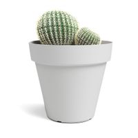 Maceta-Recife-Pot-Blanca-15-Cm---Artevasi