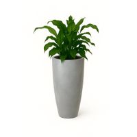 Maceta-Verona-Tall-Cemento-Antiguo-52-x-90-Cm