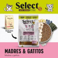 Concentrado-Select-Mama-Gata-y-Gatitos-1.5-Kg---Monello