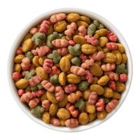 Concentrado-para-Perro-Adulto-Salud-Radiante-4-Kg---Beneful