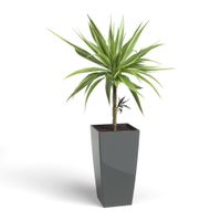Maceta-Pisa-Pot-Gris-40-Cm---Artevasi