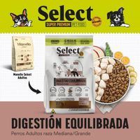 Concentrado-Select-Perros-Razas-Medianas-y-Grandes-15-Kg---Monello