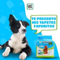 Tapete-de-Entrenamiento-Higienico-para-Perro-7-pzas---Pet-Spa