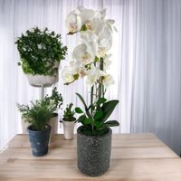 Orquidea-Artificial-Blanca-con-Pote