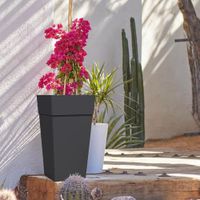 Maceta-Bloem-Negra-25-Plg-de-Alto-Color---Bloem