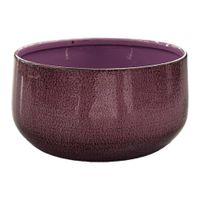 Maceta-Profunda-de-Metal-Morada-6-Plg---Robert-Allen