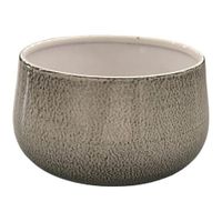 Maceta-Profunda-Dusted-Pearl-4-Plg---Robert-Allen