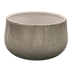 Maceta-Profunda-Dusted-Pearl-4-Plg---Robert-Allen
