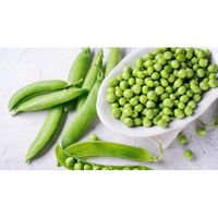 Semilla-De-Guisante---Germoveg-S