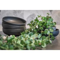 Bowl-6.2-Plg-Negro---Niu-Haus